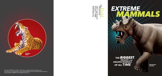 Field Museum Invitations