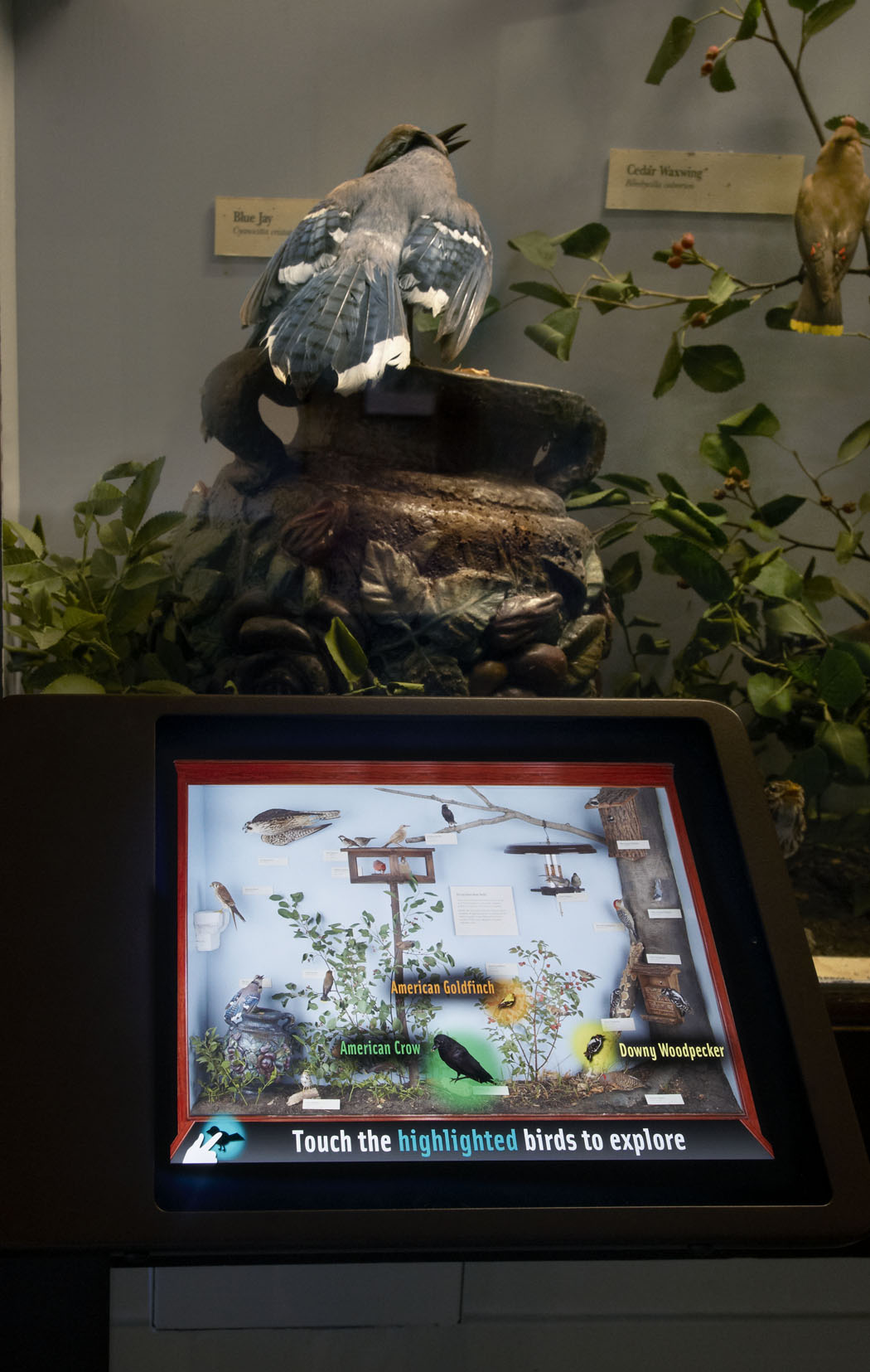 Gidwitz Hall of Birds
