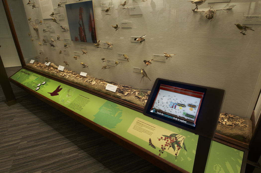 Gidwitz Hall of Birds