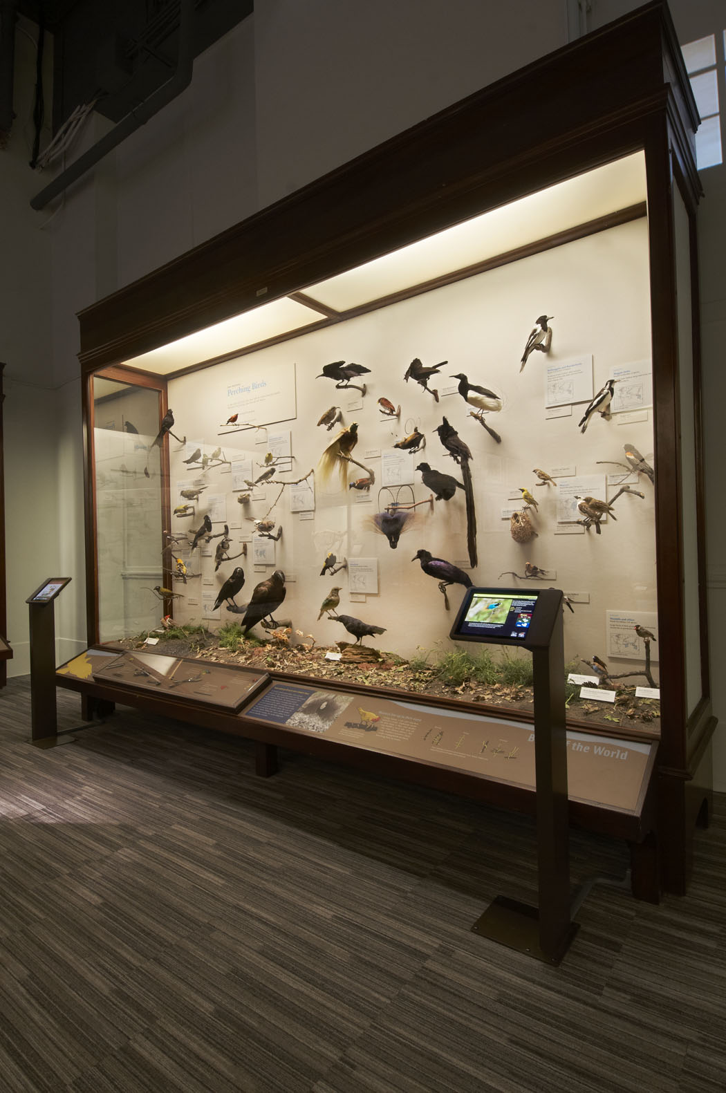 Gidwitz Hall of Birds