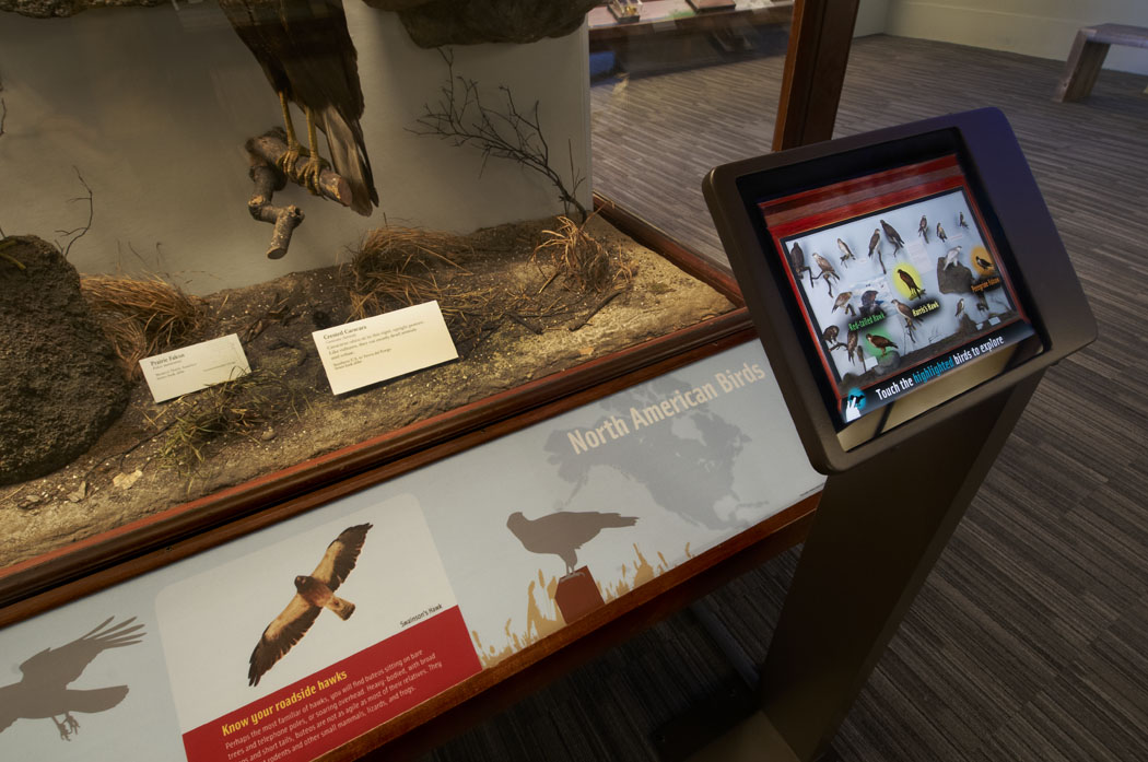 Gidwitz Hall of Birds